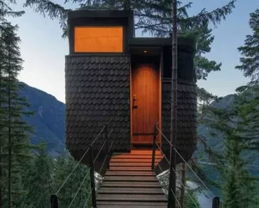 Cette jeune femme de 27 ans vit dans une maison de seulement 14 m², mais quand vous verrez l’intérieur, vous voudrez y vivre !