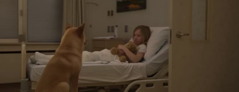 Un chien de refuge ne cesse de fixer une fillette en pleurs à l’hôpital, puis une infirmière est témoin d’un miracle